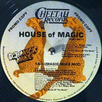 DJ Magic Mike - House Of Magic (12'' Promo Single)