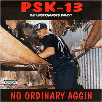 PSK-13 - No Ordinary Aggin (EP)