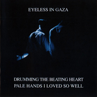 Eyeless In Gaza - Drumming The Beating Heart