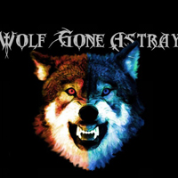 Wolf Gone Astray - Wolf Gone Astray