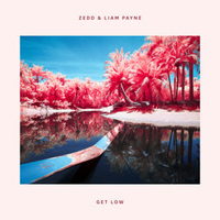 Payne, Liam - Zedd & Liam Payne - Get Low [Single]
