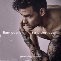 Payne, Liam - Strip That Down (Nevada remix) (Single)