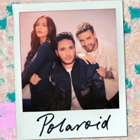 Payne, Liam - Polaroid (Single)
