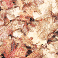 Autumn Leaves Fall In - The Autumn Leaves Fall In (EP)