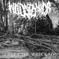 Wildspeaker - Survey The Wreckage