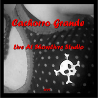 Cachorro Grande - Live At Showlivre Studio