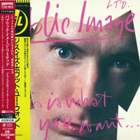 Public Image Ltd - This Is What You Want... This Is What You Get, 1984 (Mini LP)