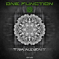 One Function - Transient [EP]