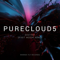 Purecloud5 - Destiny (Spirit Moon Remix) [Single]