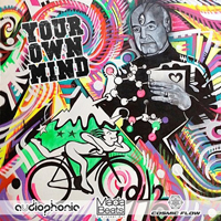 Cosmic Flow - Your Own Mind [Single]