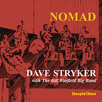 Dave Stryker - Nomad