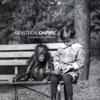 Montreal On Fire - Anima Mvndi Remixed