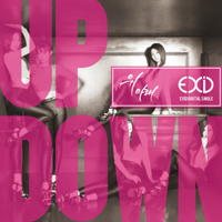 EXID - Up & Down (Single)