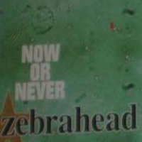 Zebrahead - Now Or Never (Single)