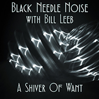 Black Needle Noise - A Shiver Of Want (feat. Bill Leeb) (Single)