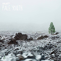 Nearr - pale youth