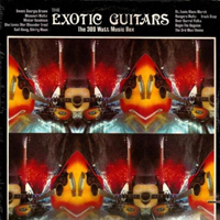 Exotic Guitars - 300 Watt Music Box