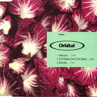 Orbital - Radiccio (Single)