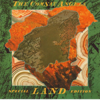 Comsat Angels - Land (Reissue)