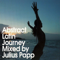 Papp, Julius - Abstract Latin Jurney