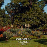 Coloured Clocks - Zoo
