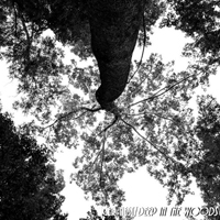 Tiger Nest - Deep In The Woods (Single)