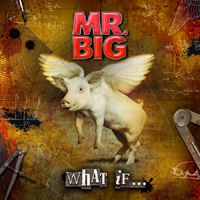 Mr. Big (USA) - What If...