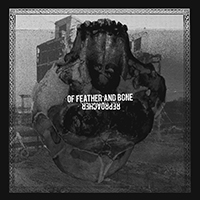 Of Feather And Bone - Of Feather and Bone / Reproacher (Split)
