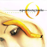 Perfect Circle - Thirteenth Step (LP)