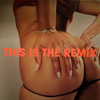Spank Rock - This Is The Remix (12