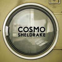 Sheldrake, Cosmo - The Moss (7'' Single)