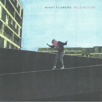 Night Flowers - Wild Notion