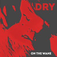 On The Wane - DRY