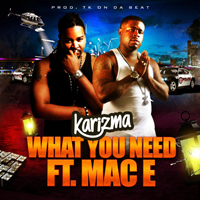 Karizma - What You Need (Single)