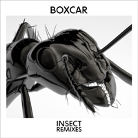 Boxcar - Insect (Remixes) (Single)