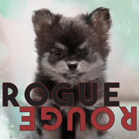 Liu, Amber - Rogue Rouge