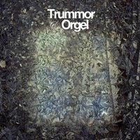 Trummor & Orgel - Visions