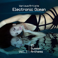 Various Artists [Chillout, Relax, Jazz] - Electronic Ocean (25 Summer Anthems) Vol. 1