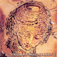 Various Artists [Chillout, Relax, Jazz] - Enigma-Forest-Transit  (CD 2)