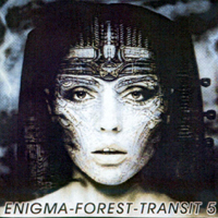 Various Artists [Chillout, Relax, Jazz] - Enigma-Forest-Transit  (CD 5)