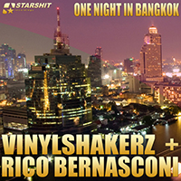 Vinylshakerz - One Night In Bangkok (Maxi-Single) 