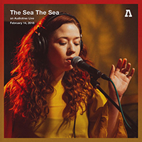 The Sea the Sea - The Sea The Sea On Audiotree Live