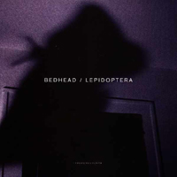 Bedhead - Lepidoptera / Leper (10'' Single)