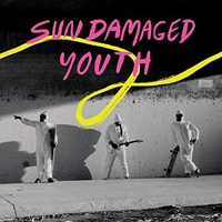 Donkeys - Sun Damaged Youth