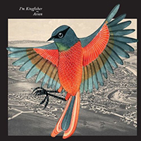 I'm Kingfisher - Avian
