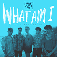 Why Don't We - What Am I (Cash Cash Remix) (Single)