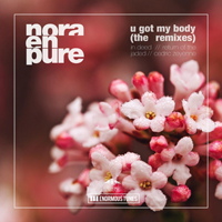 Nora En Pure - U Got My Body (The Remixes)