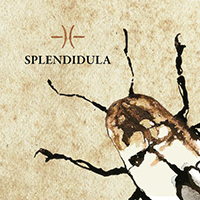 Splendidula - Splendidula