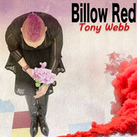 Tony Webb - Billow Red (ReiEdition 2019)
