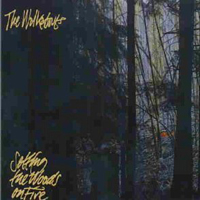 Walkabouts - Setting The Woods On Fire